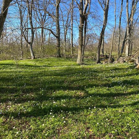 Gard Halltorps Hage Borgholm Exteriér fotografie