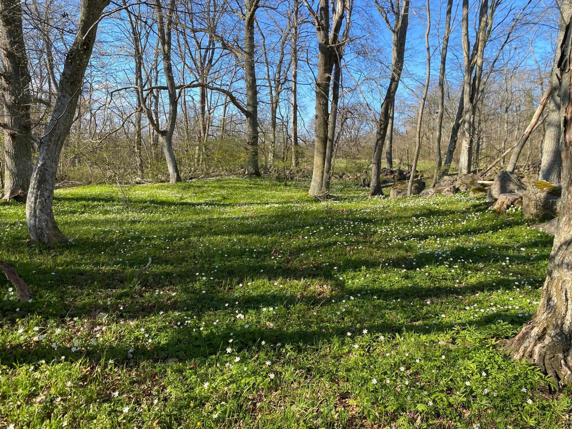 Gard Halltorps Hage Borgholm Exteriér fotografie