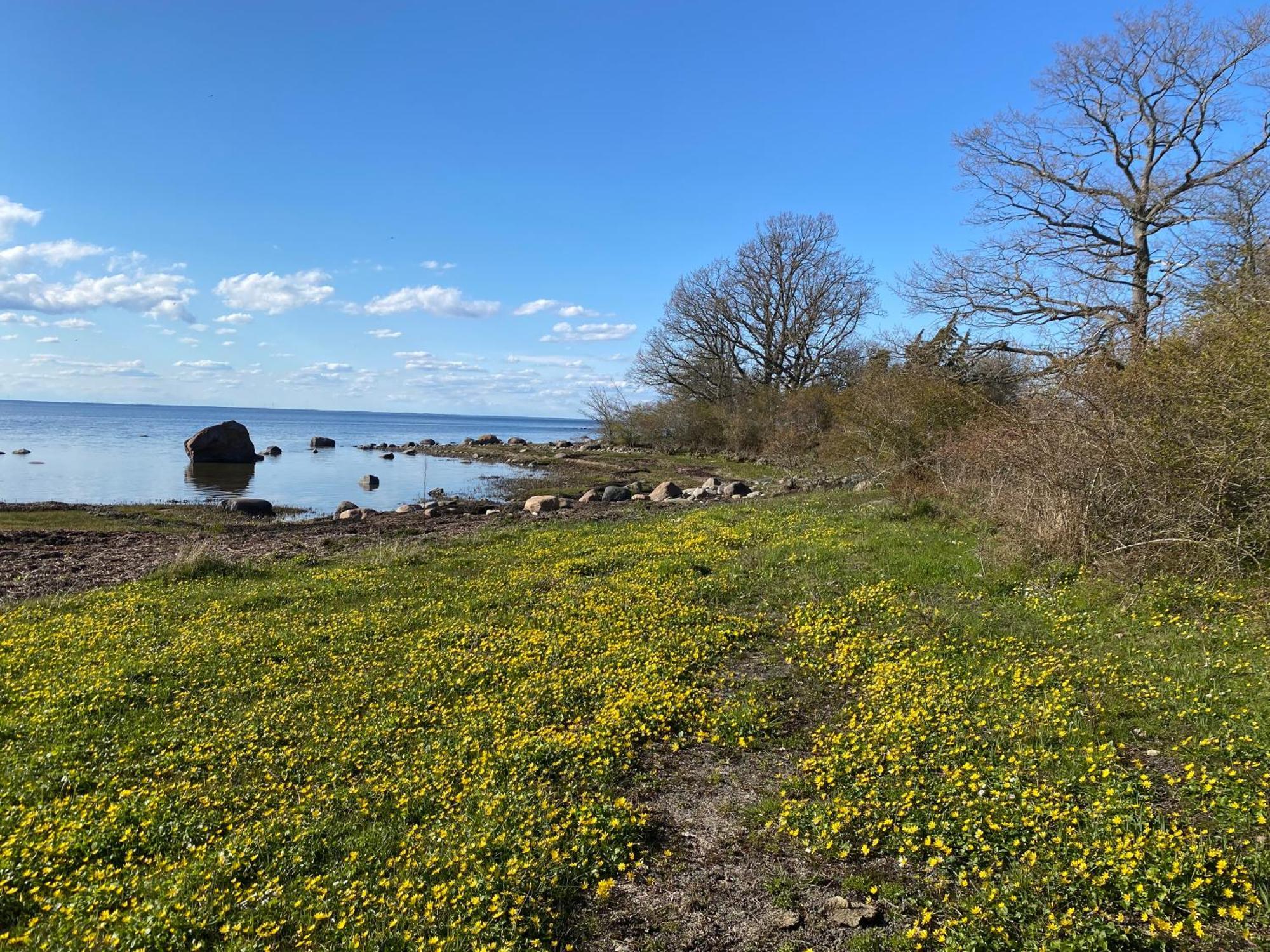 Gard Halltorps Hage Borgholm Exteriér fotografie