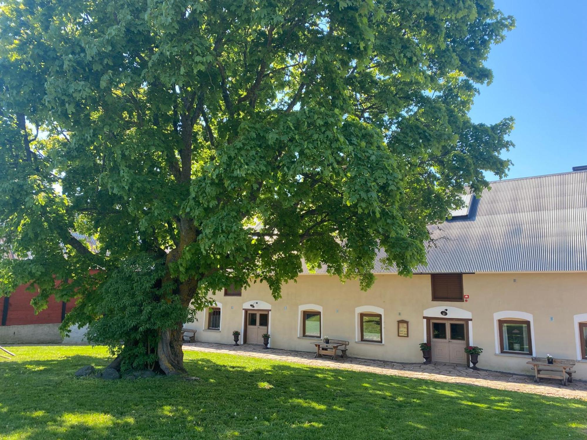 Gard Halltorps Hage Borgholm Exteriér fotografie