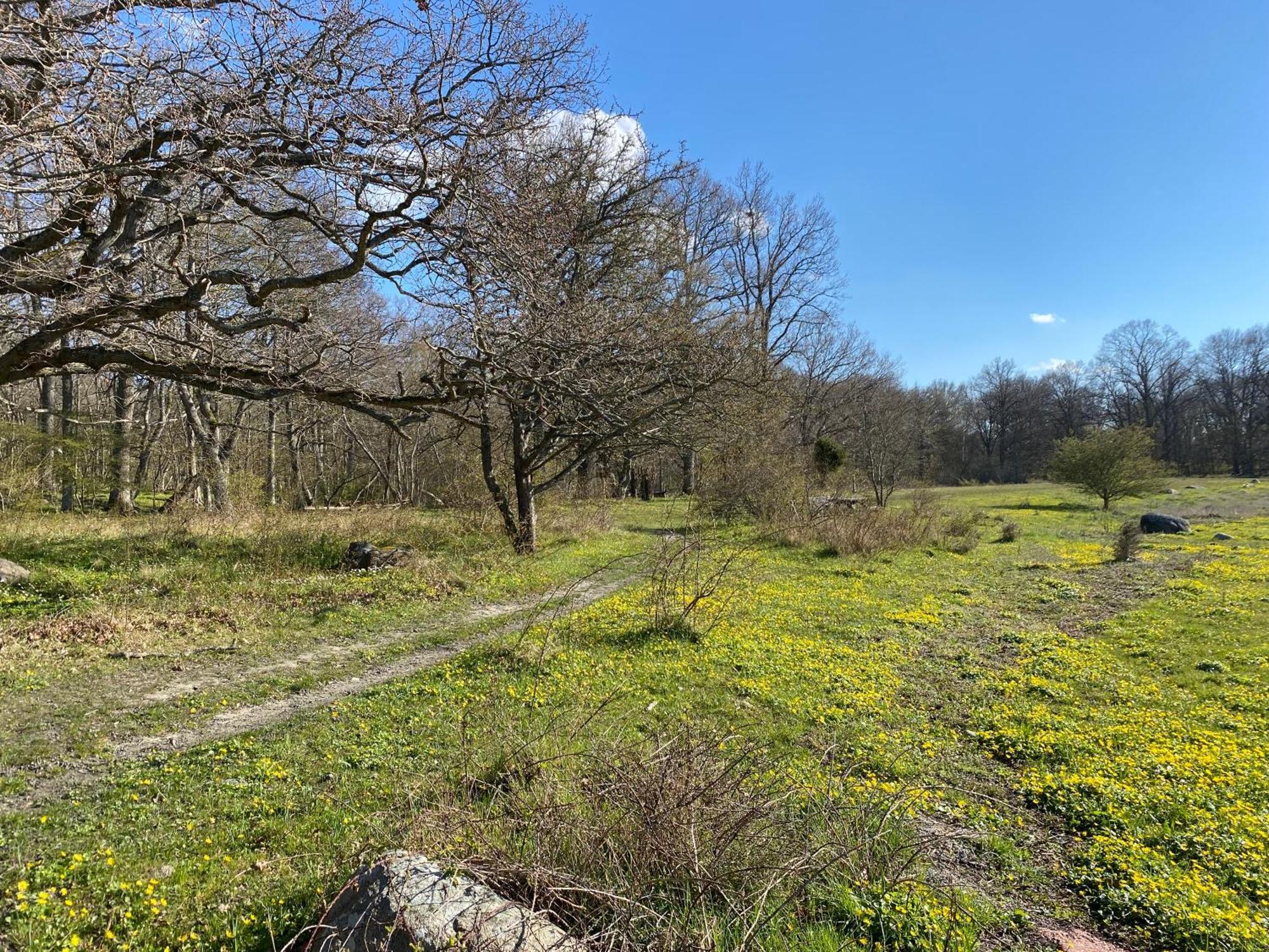 Gard Halltorps Hage Borgholm Exteriér fotografie